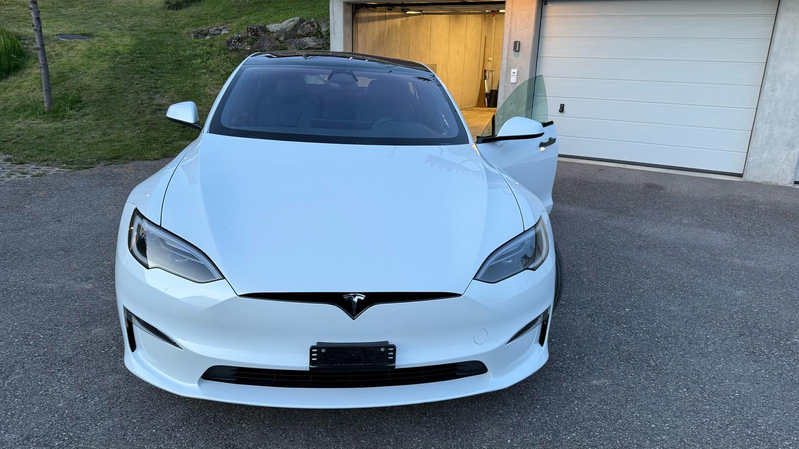 Tesla S 100 Palladium