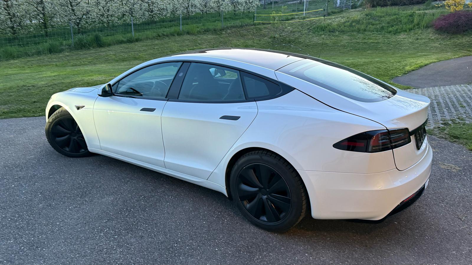 Tesla S 100 Palladium photo 4